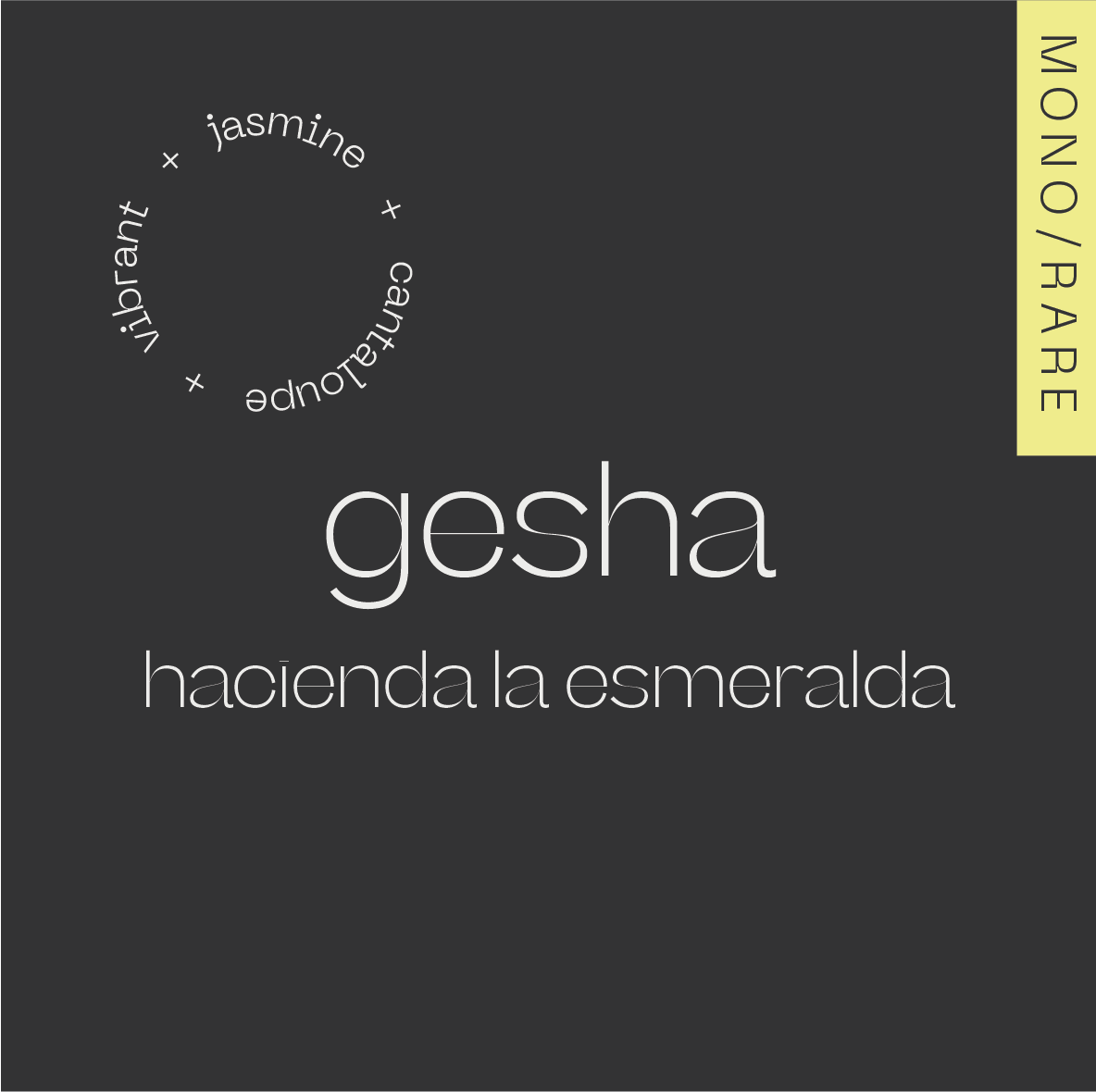 GESHA Panama — Finca La Esmeralda from A Matter of Concrete