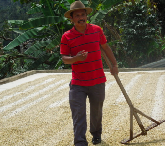 Elixir Espresso – Guatemala Nueva Era from Alchemy Coffee