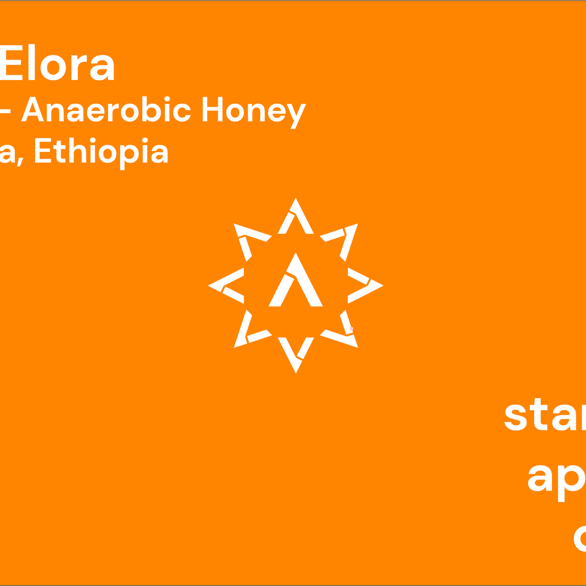 Elto Elora from Apollon's Gold