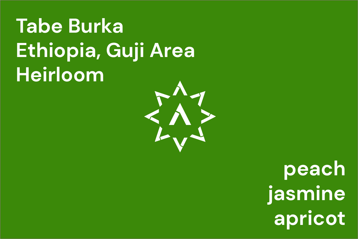 Tabe Burka from Apollon's Gold