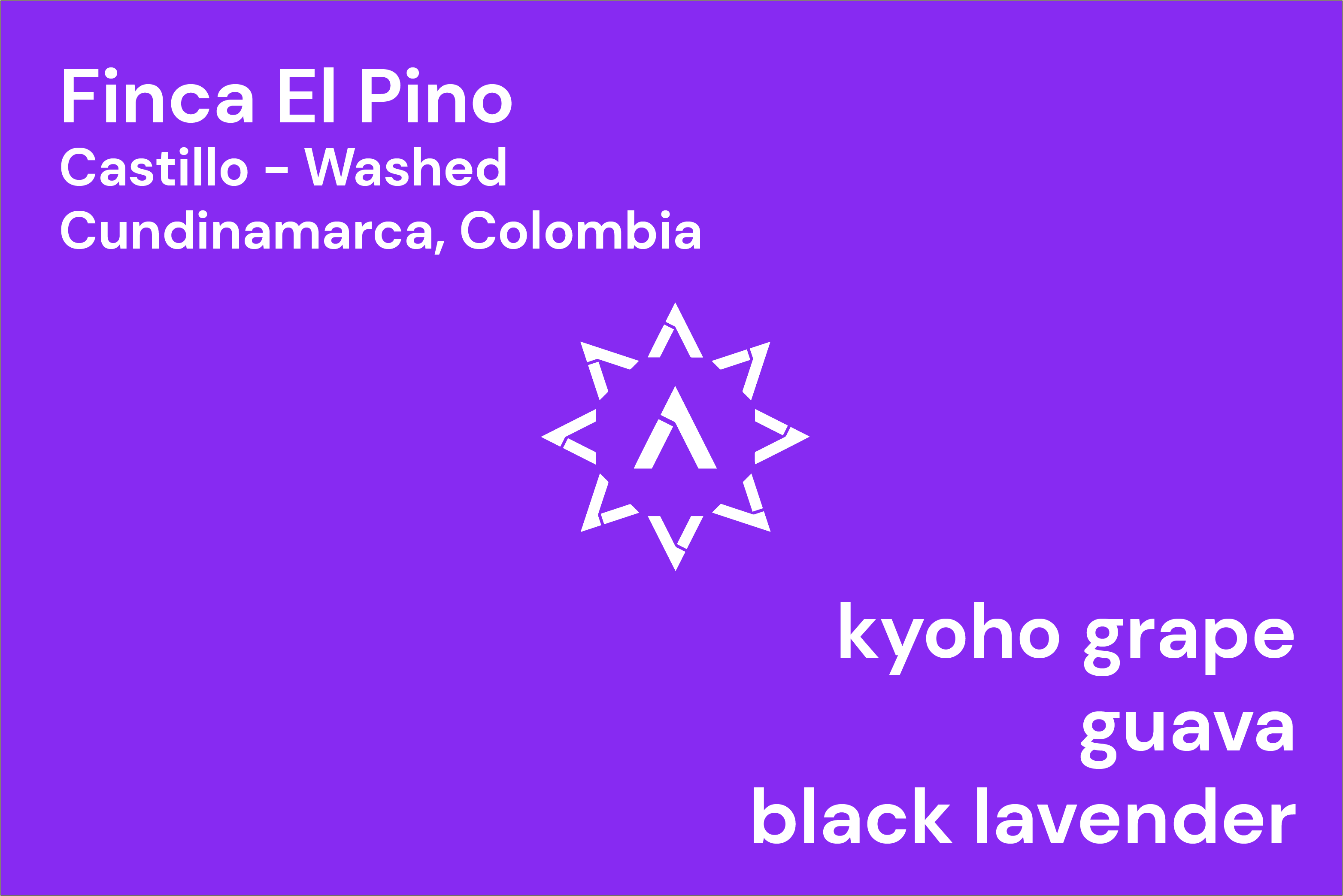El Pino from Apollon's Gold