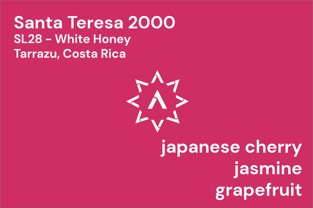 Santa Teresa 2000 from Apollon's Gold