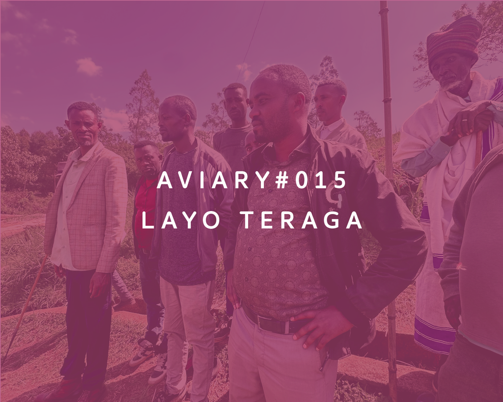 015 - Layo Teraga from Aviary