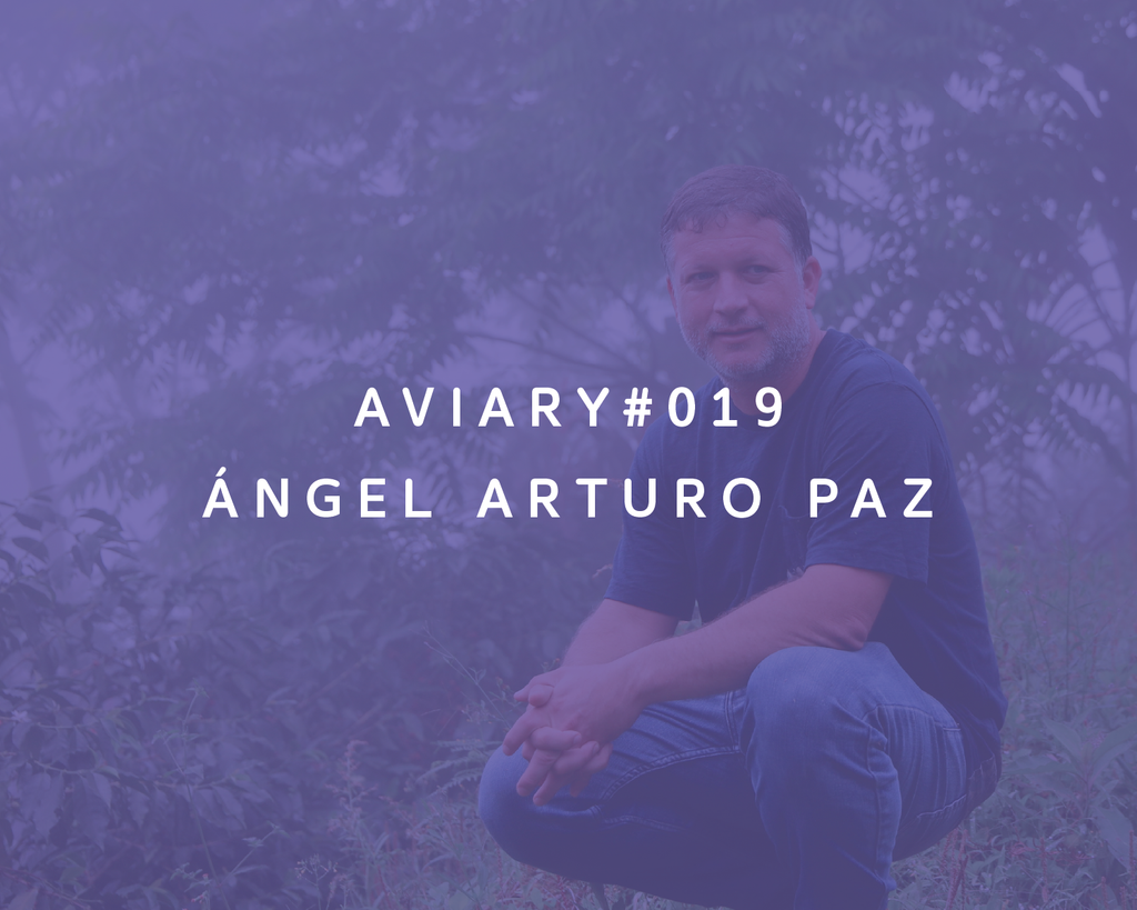 Ángel Arturo Paz from Aviary