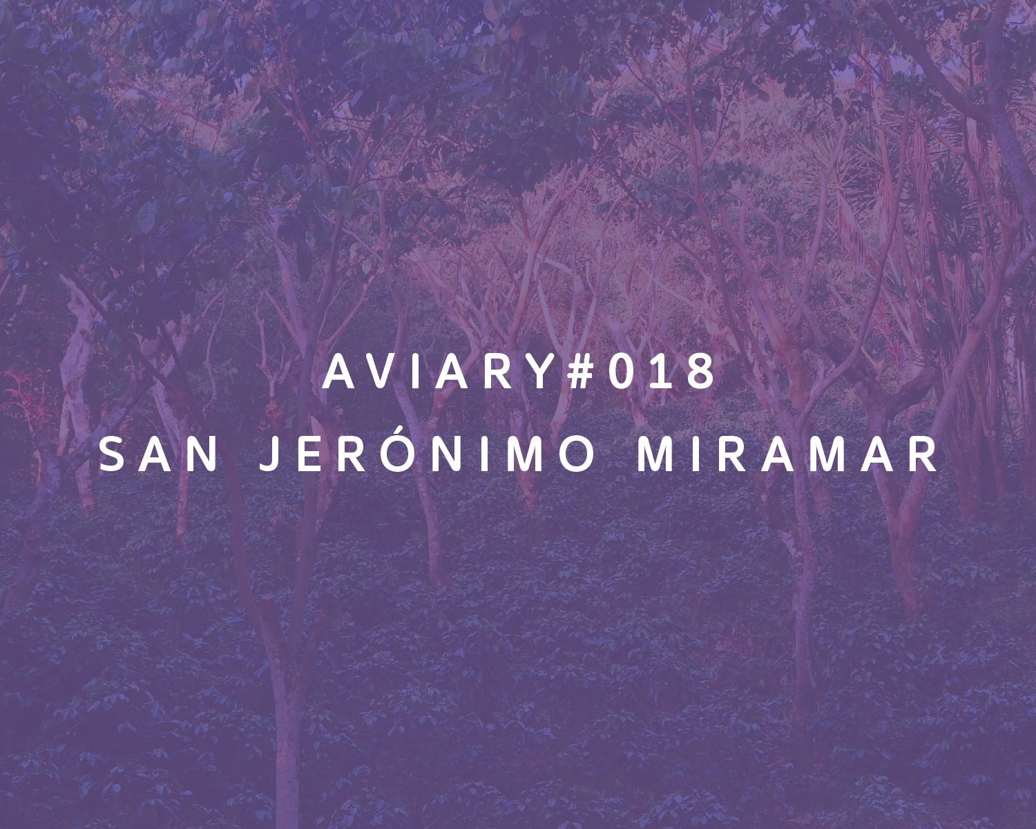 San Jerónimo Miramar from Aviary