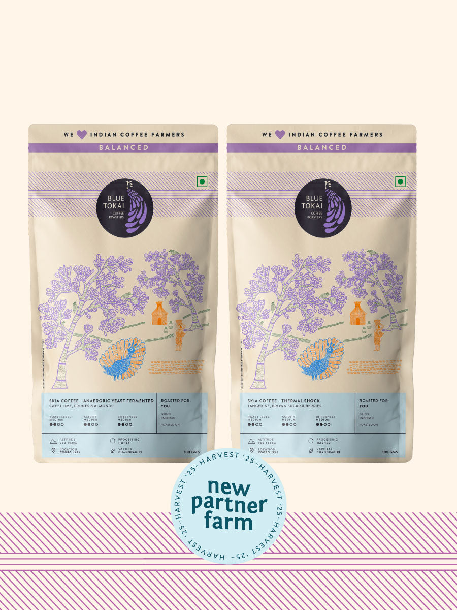 SKIA Coffee (Pack of 2) from Blue Tokai Coffee Roasters