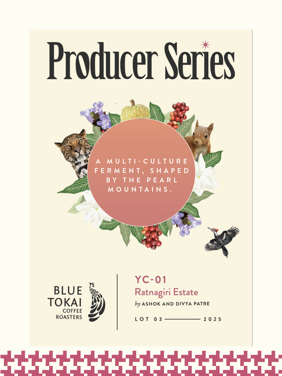 Ratnagiri Estate - YC 01 from Blue Tokai Coffee Roasters