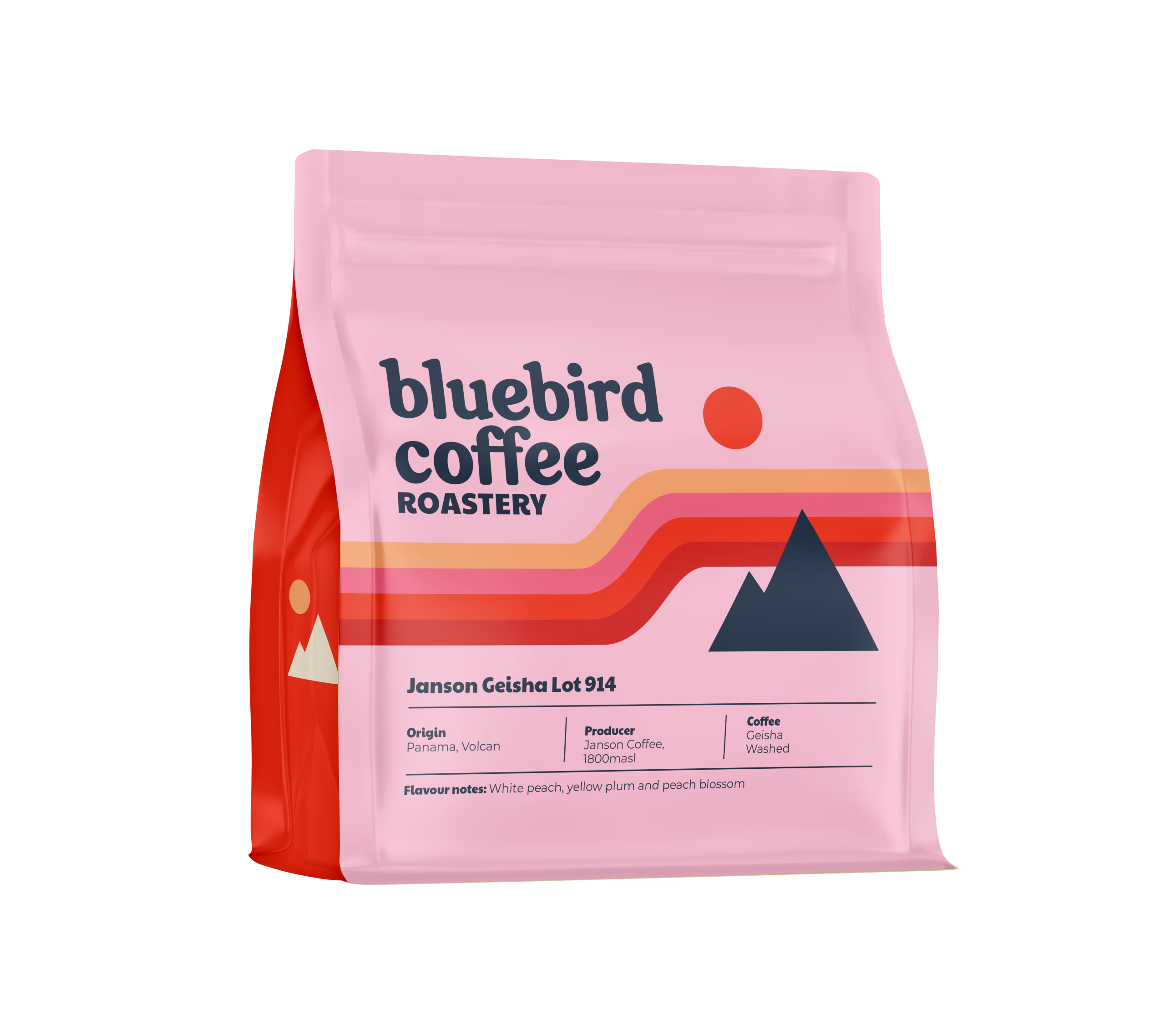 Janson Geisha Lot 914 from Bluebird Coffee Roastery