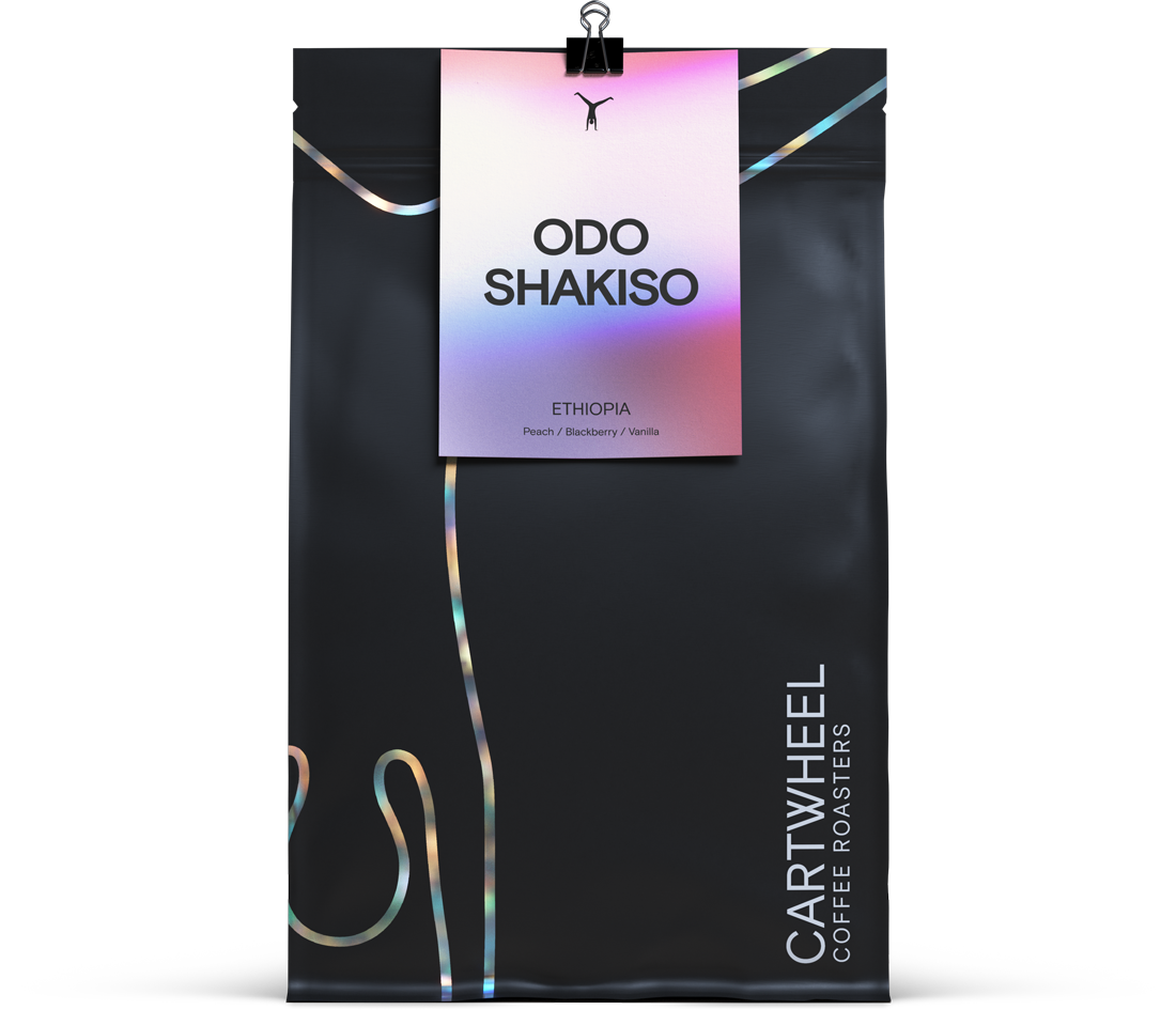 Odo Shakiso from Cartwheel Coffee