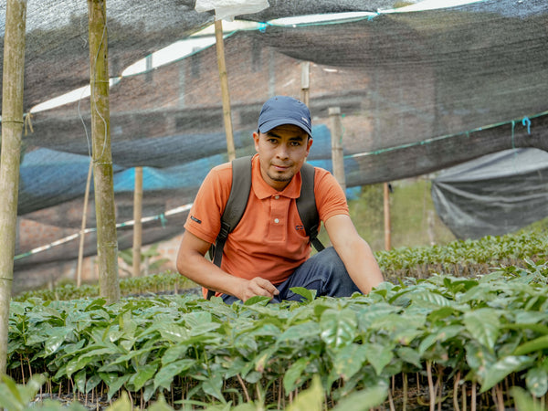William Cruz, Finca Jericó from Crankhouse Coffee