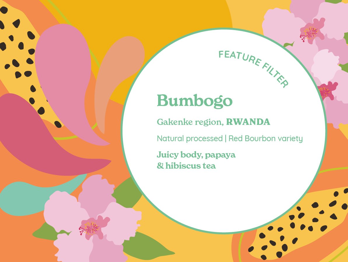 Bumbogo (Natural) from Curve Coffee Roasters