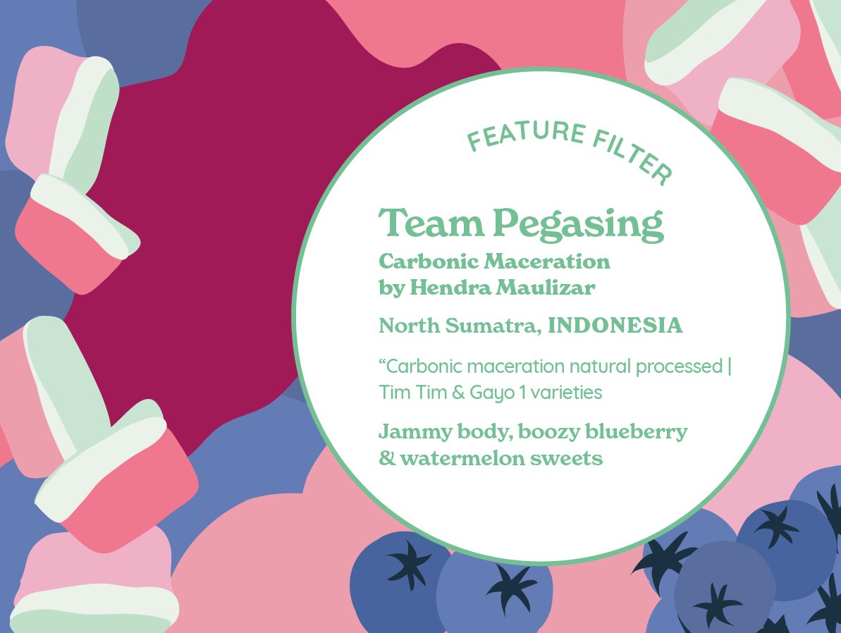 FEATURE FILTER | Team Pegasing (Carbonic Maceration Natural) | Indonesia from Curve Coffee Roasters