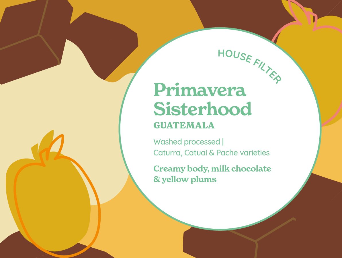 HOUSE FILTER | Primavera Sisterhood | Guatemala from Curve Coffee Roasters