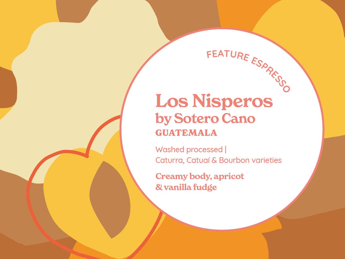 Los Nisperos from Curve Coffee Roasters