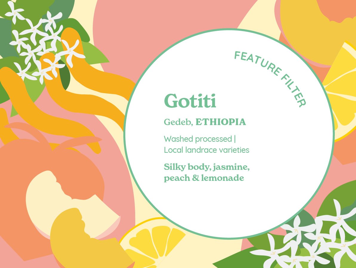 Gotiti (Washed) Ethiopia from Curve Coffee Roasters