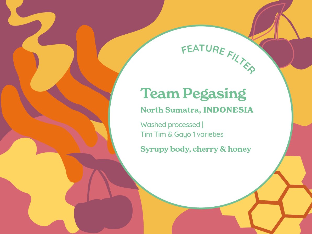 Team Pegasing (Washed) Indonesia from Curve Coffee Roasters