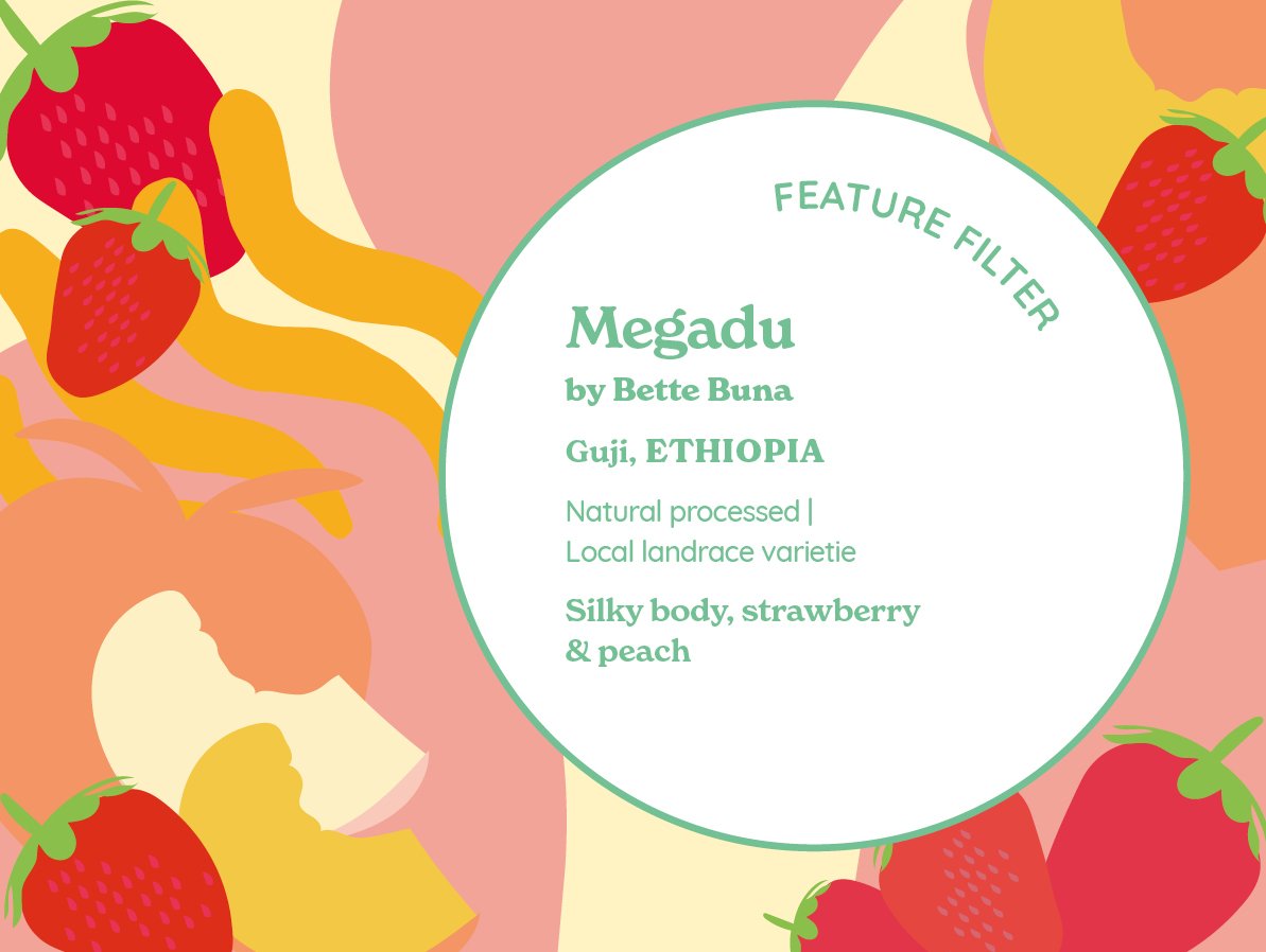Megadu by Bette Buna (Natural) | Ethiopia from Curve Coffee Roasters