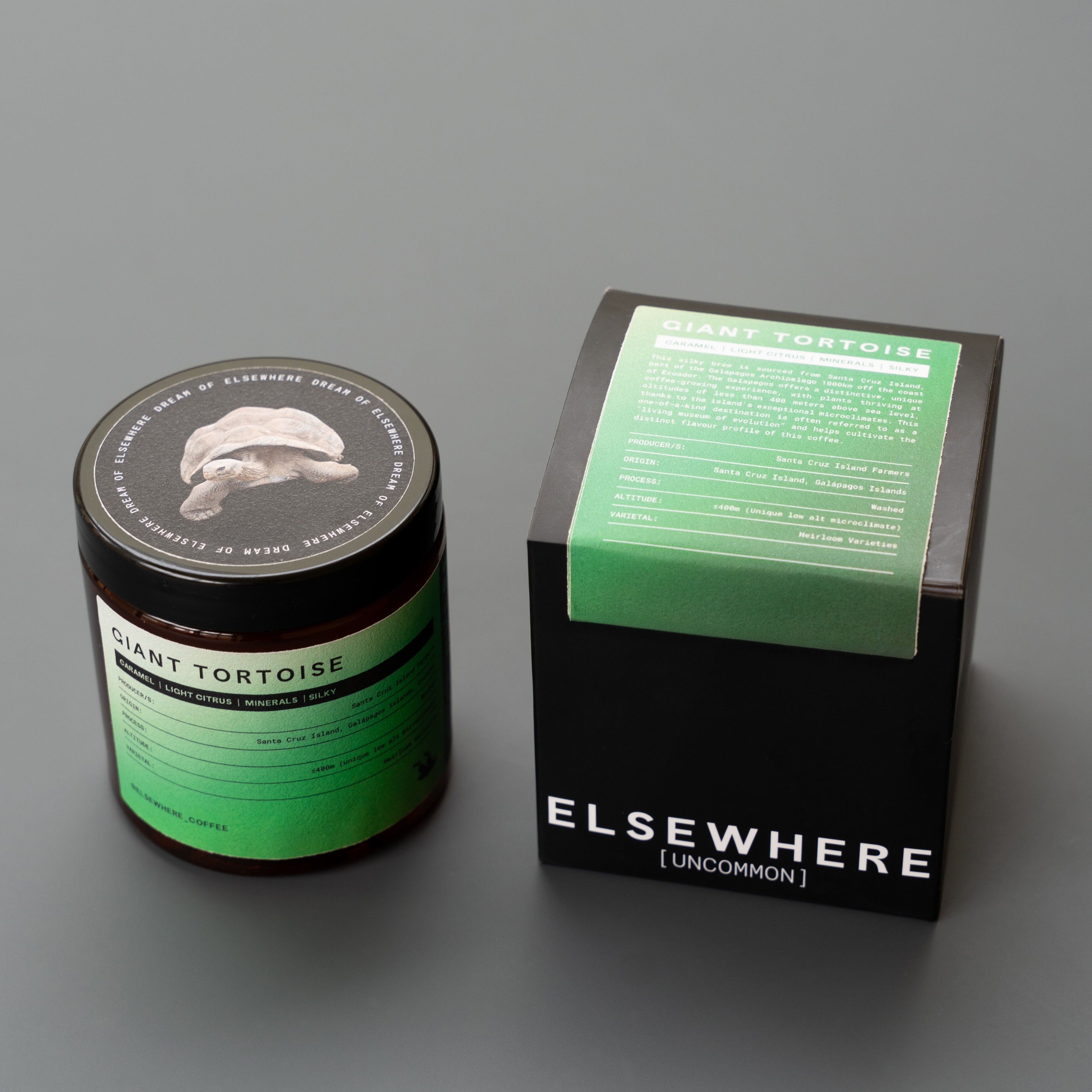 Giant Tortoise - Uncommon Series from Elsewhere Coffee