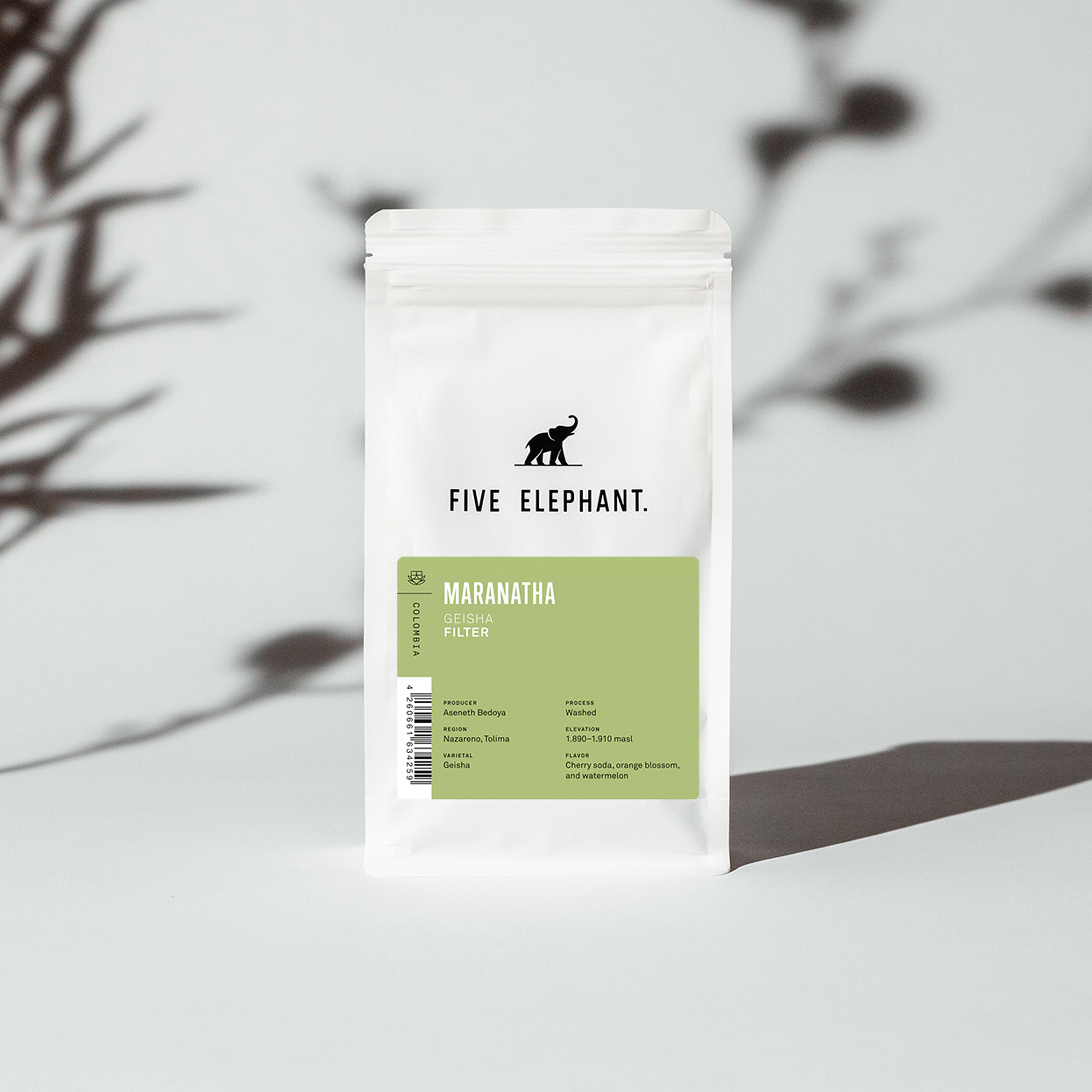 COLOMBIA Maranatha Geisha – Filter from Five Elephant