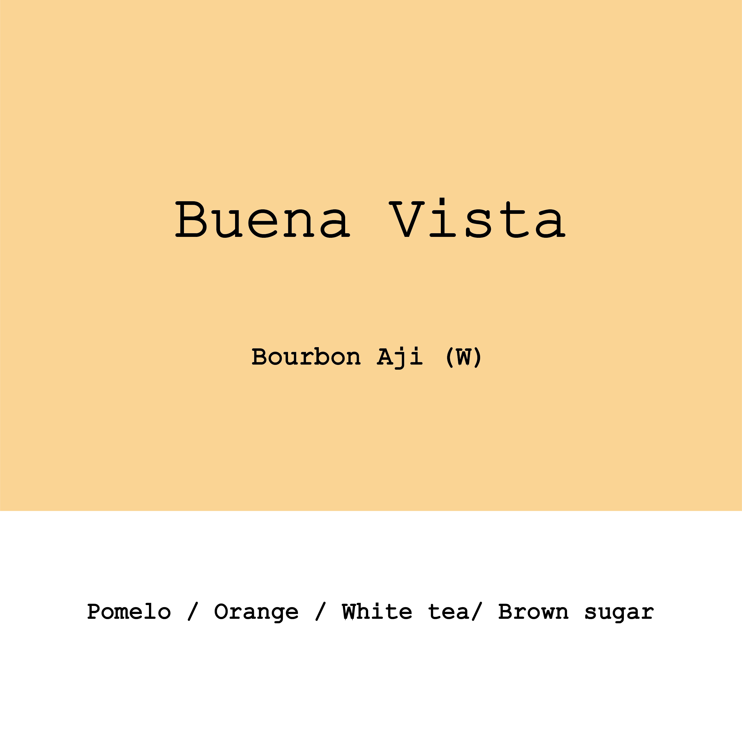 Colombia Buena Vista Farm Sambony Bourbon Aji Washed from Goût and Co