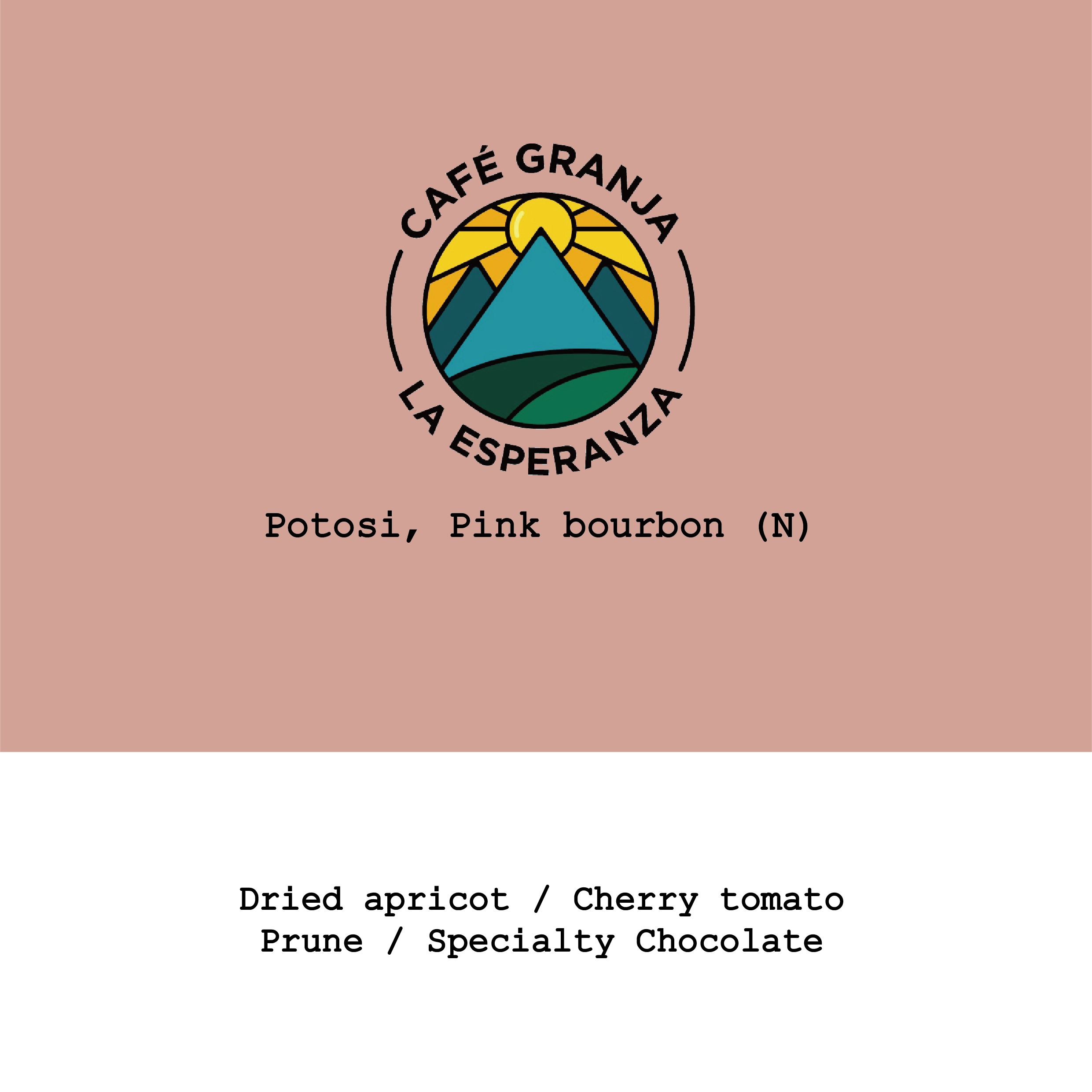 Colombia Café Granja La Esperanza-Potosi Pink Bourbon Natural from Goût and Co