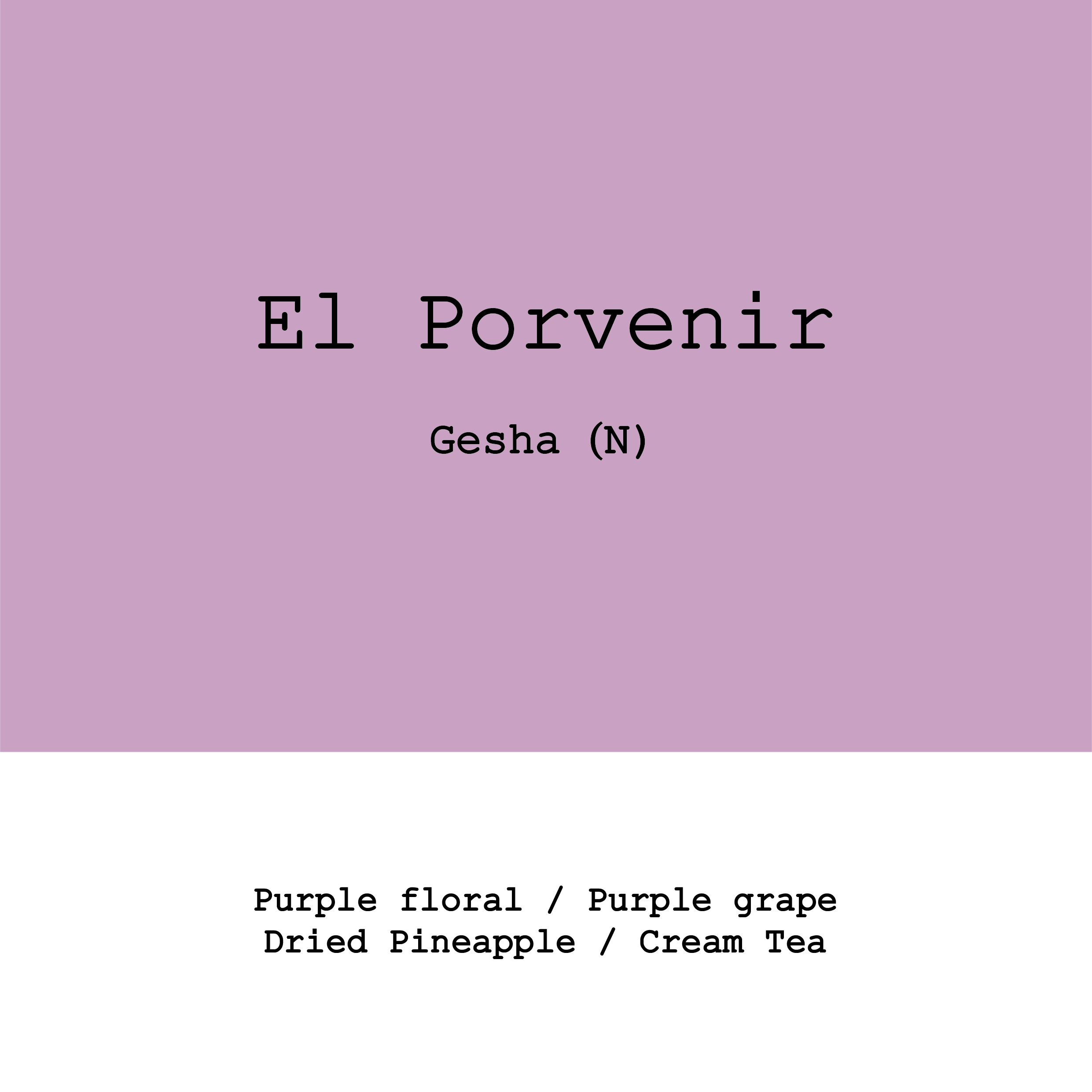 Colombia El Porvenir Gesha Natural from Goût and Co