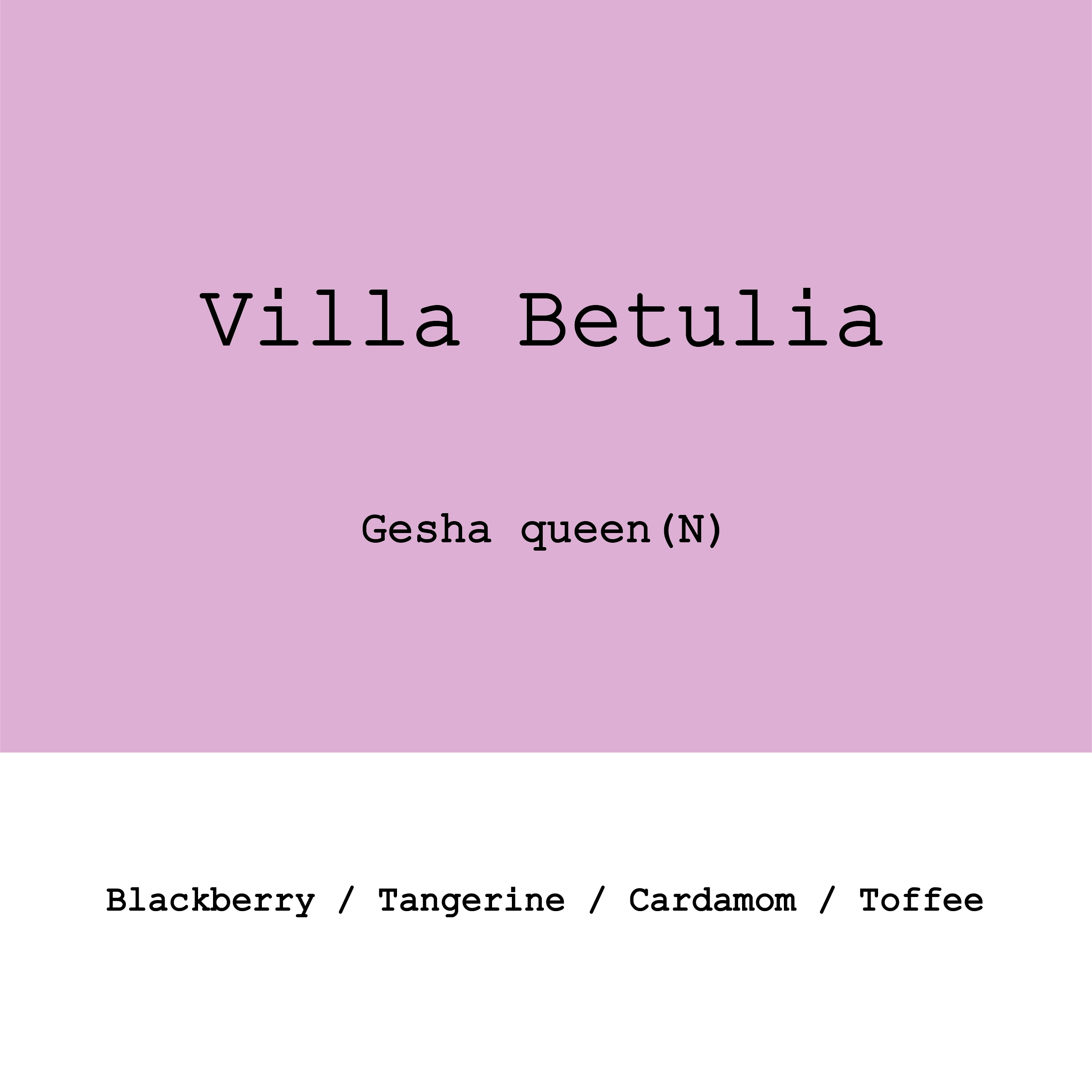 Colombia Villa Betulia Gesha Queen Natural from Goût and Co