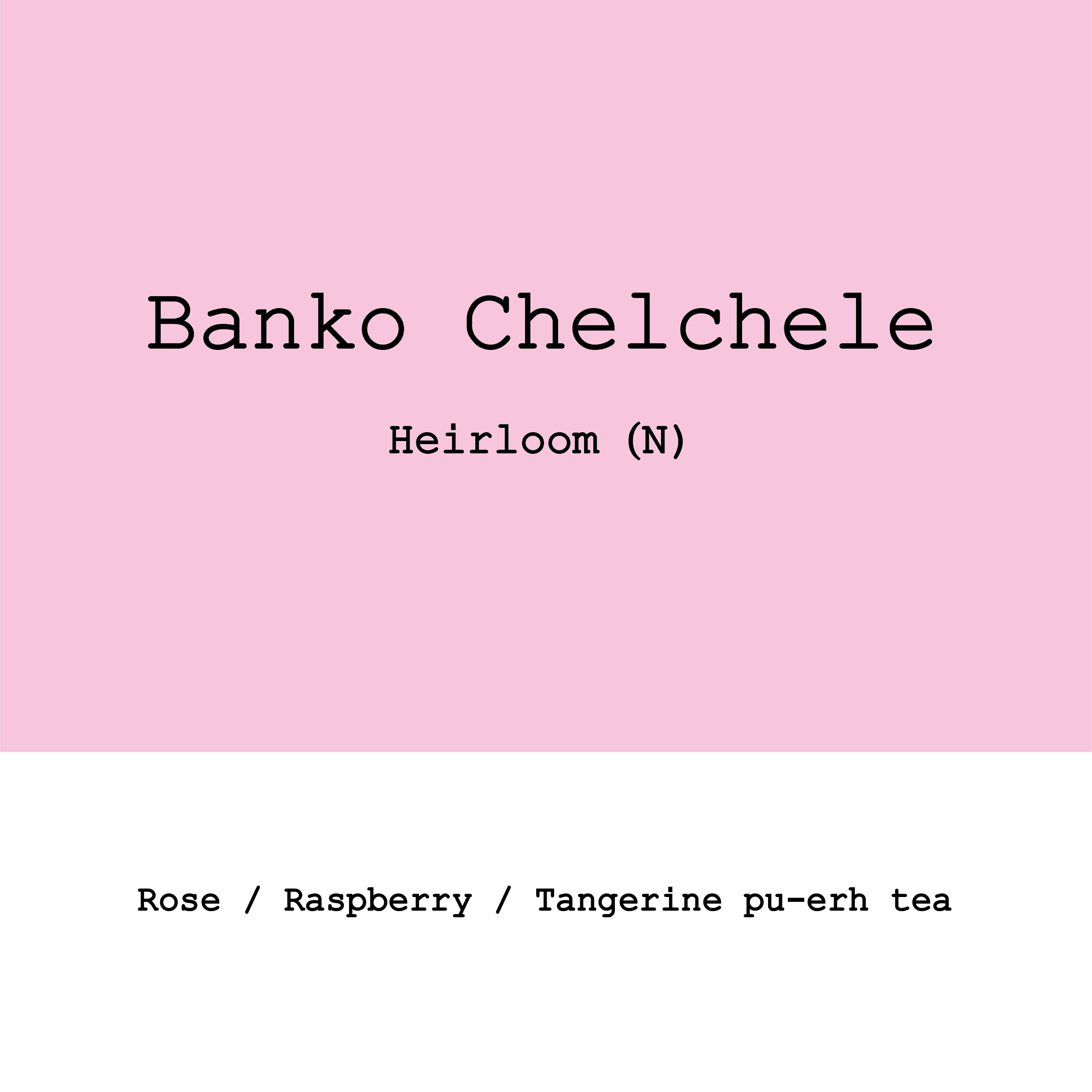 Ethiopia Banko Chelchele Heirloom Natural from Goût and Co