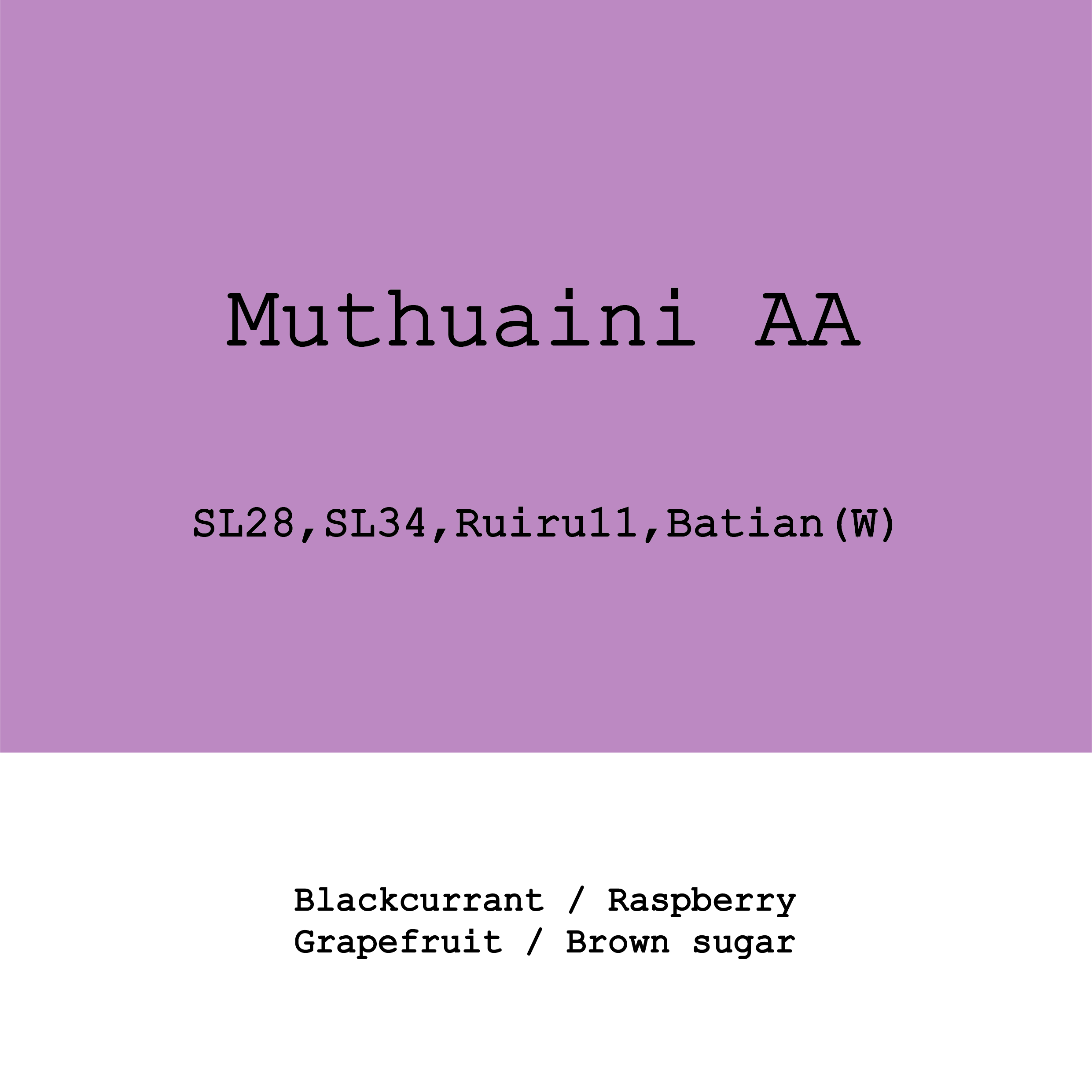 Kenya Mutheka Muthuaini AA from Goût and Co