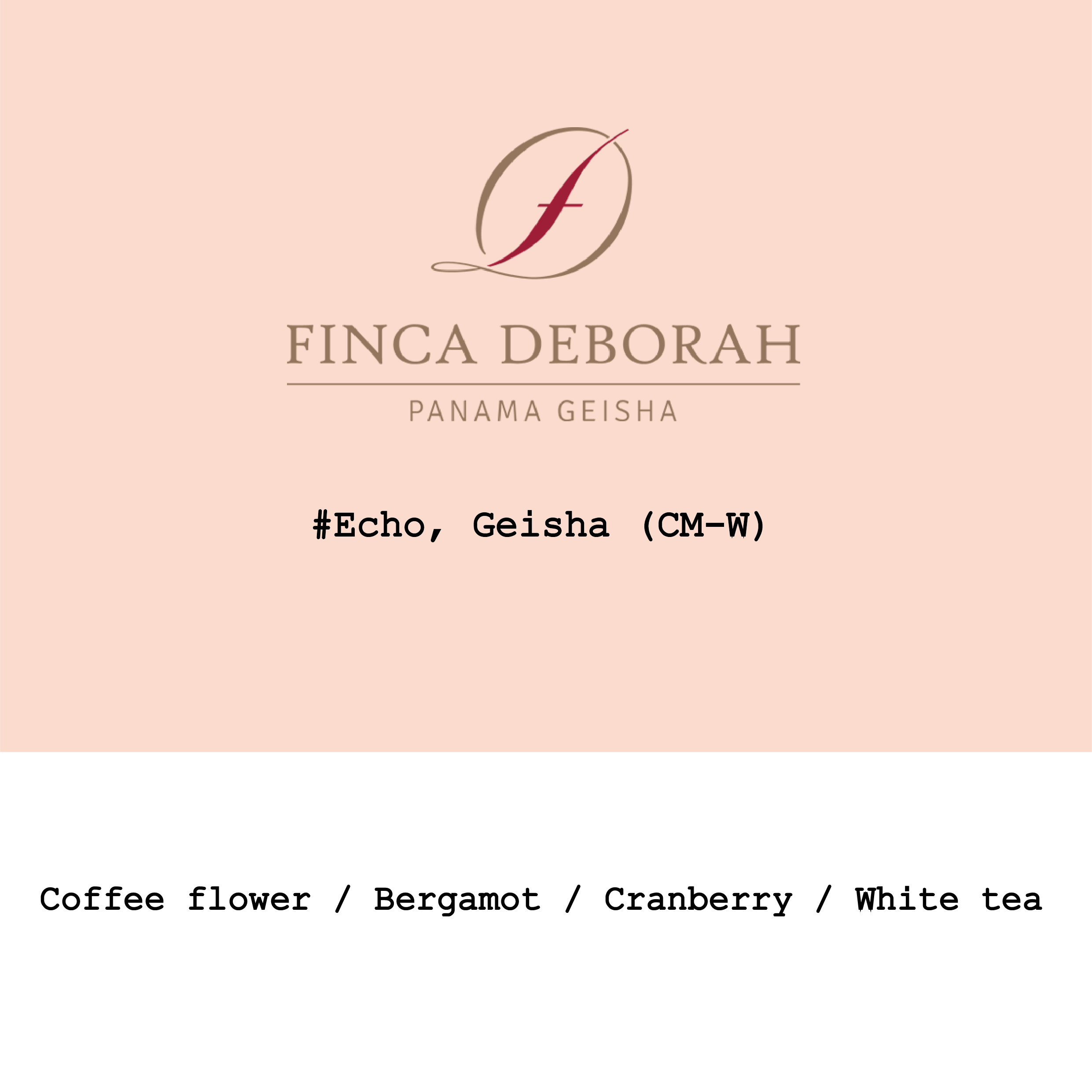 Panama Finca Deborah Geisha Cascara Infused CM Washed Echo from Goût and Co