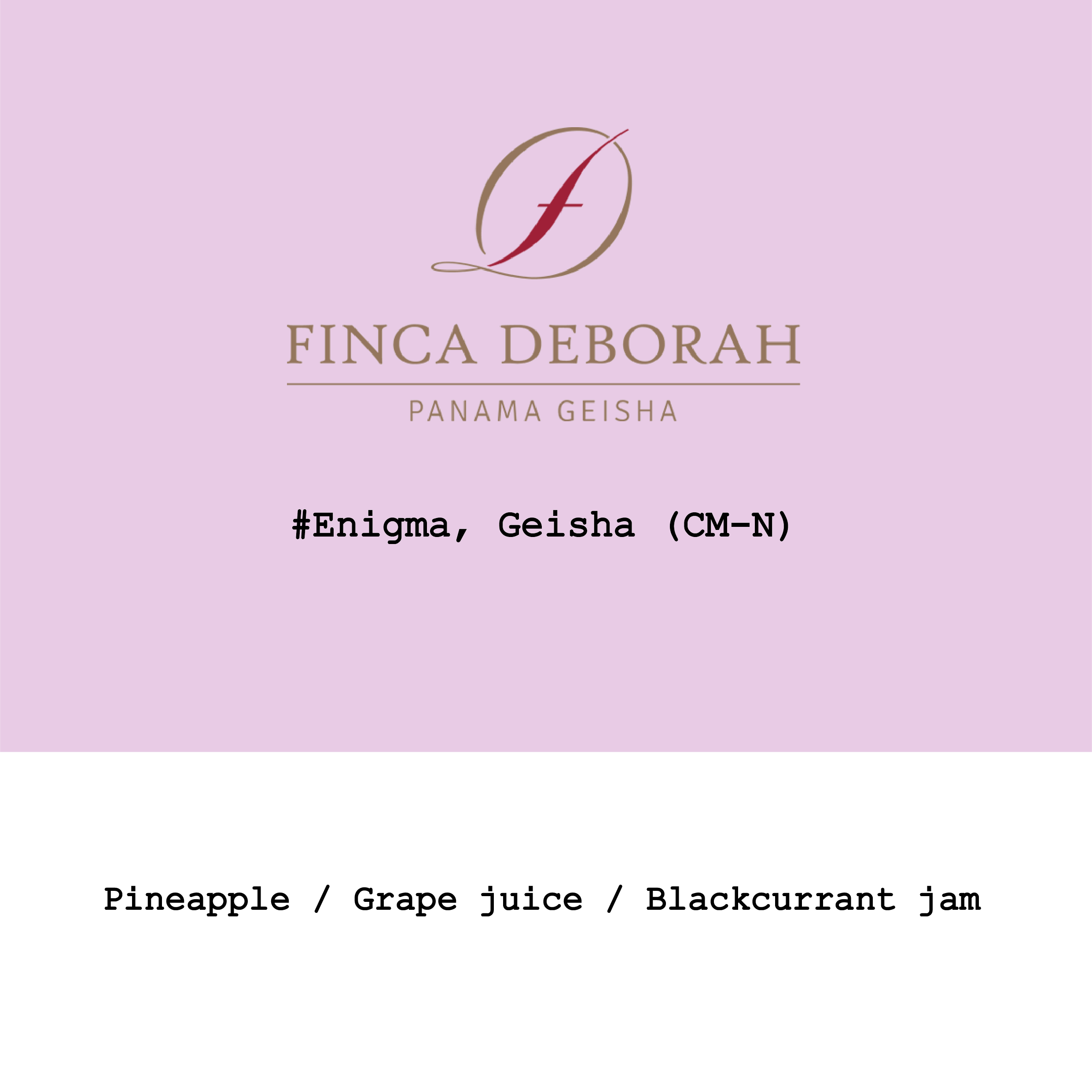 Panama Finca Deborah Geisha Extended Duration CM Natural from Goût and Co