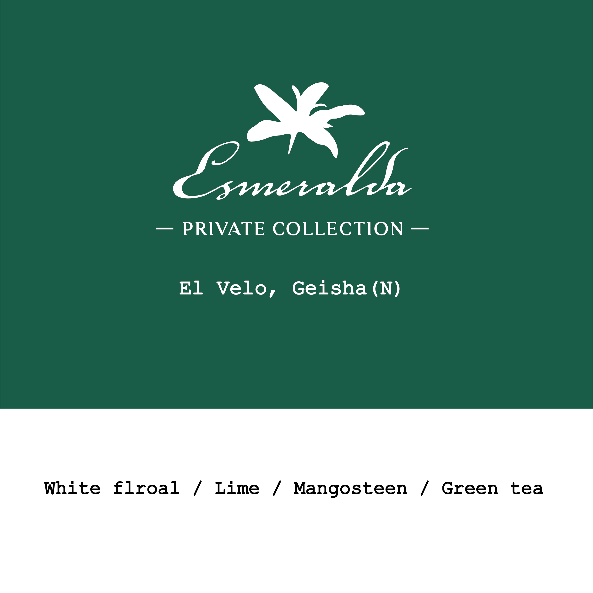 Panama La Esmeralda El Velo Geisha Natural from Goût and Co