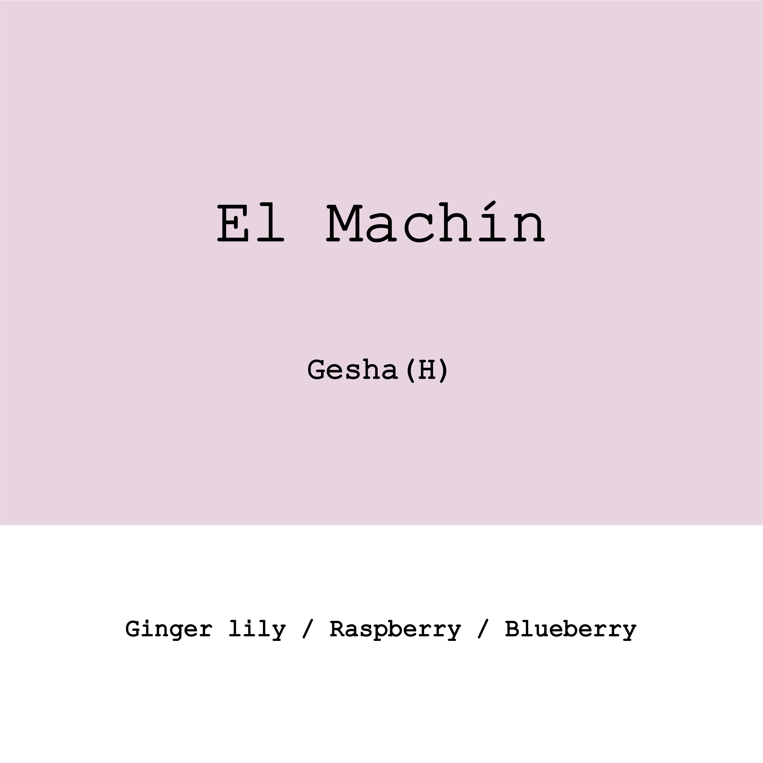 El Machín Gesha Honey from Goût and Co