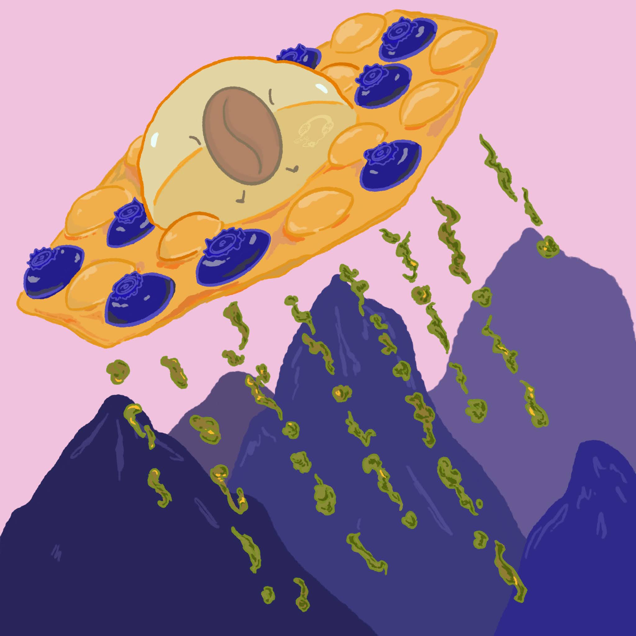 Gesha - Luna Bermudez - Finca El Paraiso from Hydrangea Coffee Roasters