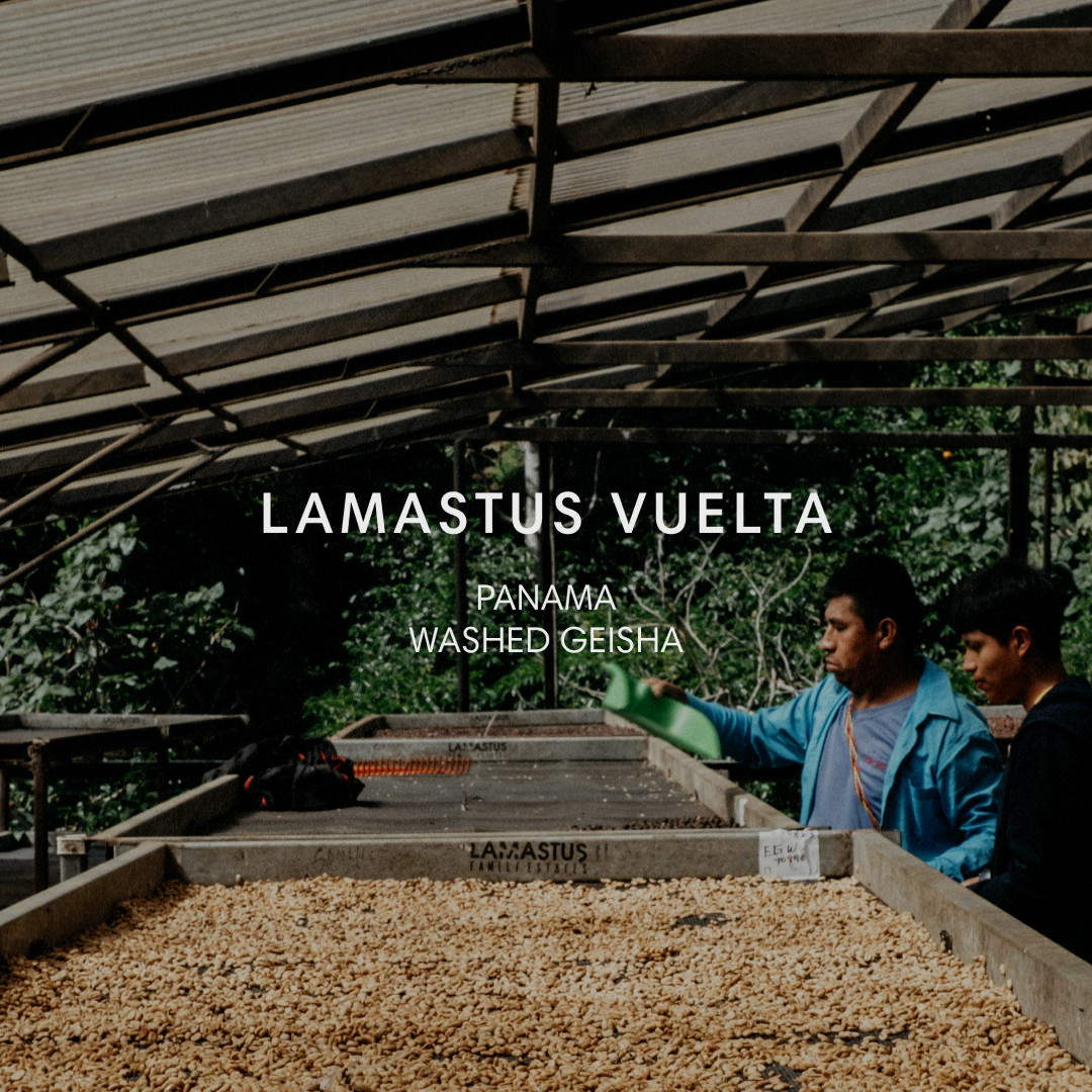LAMASTUS VUELTA from Mazelab Coffee