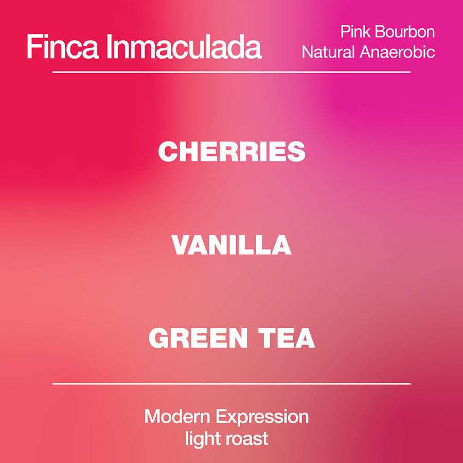 Inmaculada Pink Bourbon Anaerobic Natural from Modcup Coffee