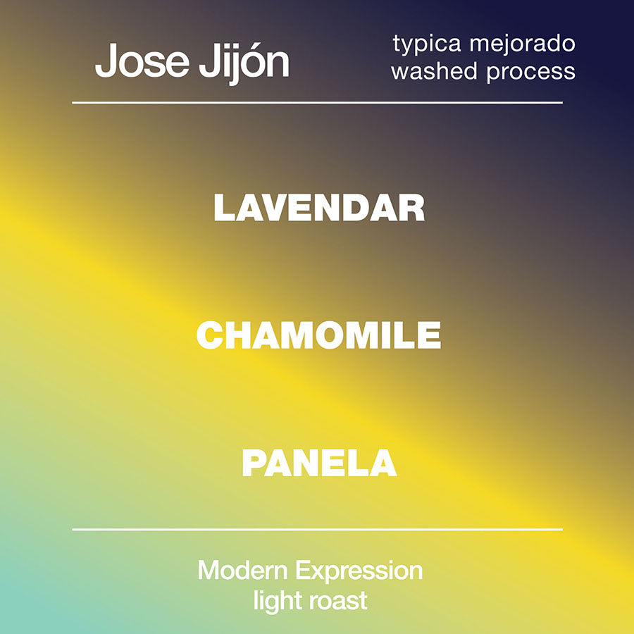 Jose Jijon Typica Mejorado Washed from Modcup Coffee