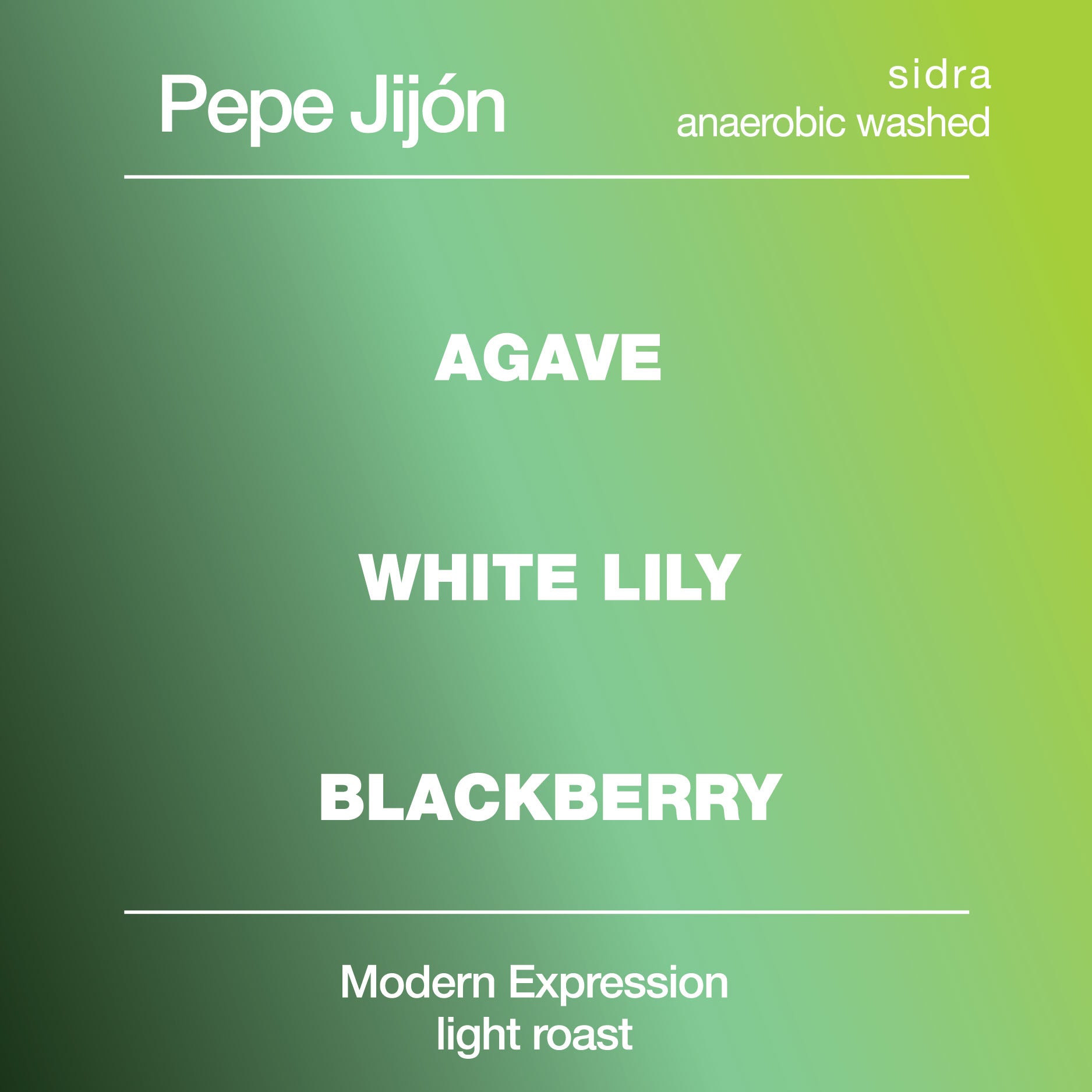 Pepe Jijon Sydra Anaerobic Washed from Modcup Coffee