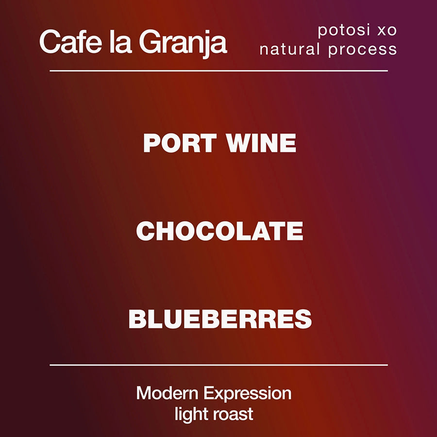 Potosi XO Cafe La Granja from Modcup Coffee