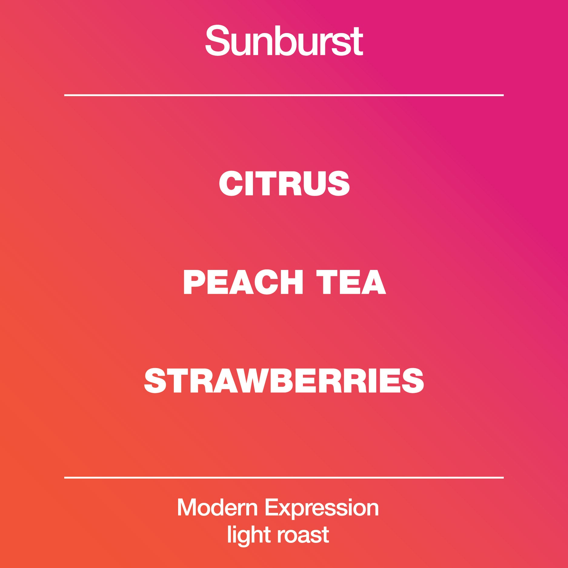 Sunburst Blend from Modcup Coffee