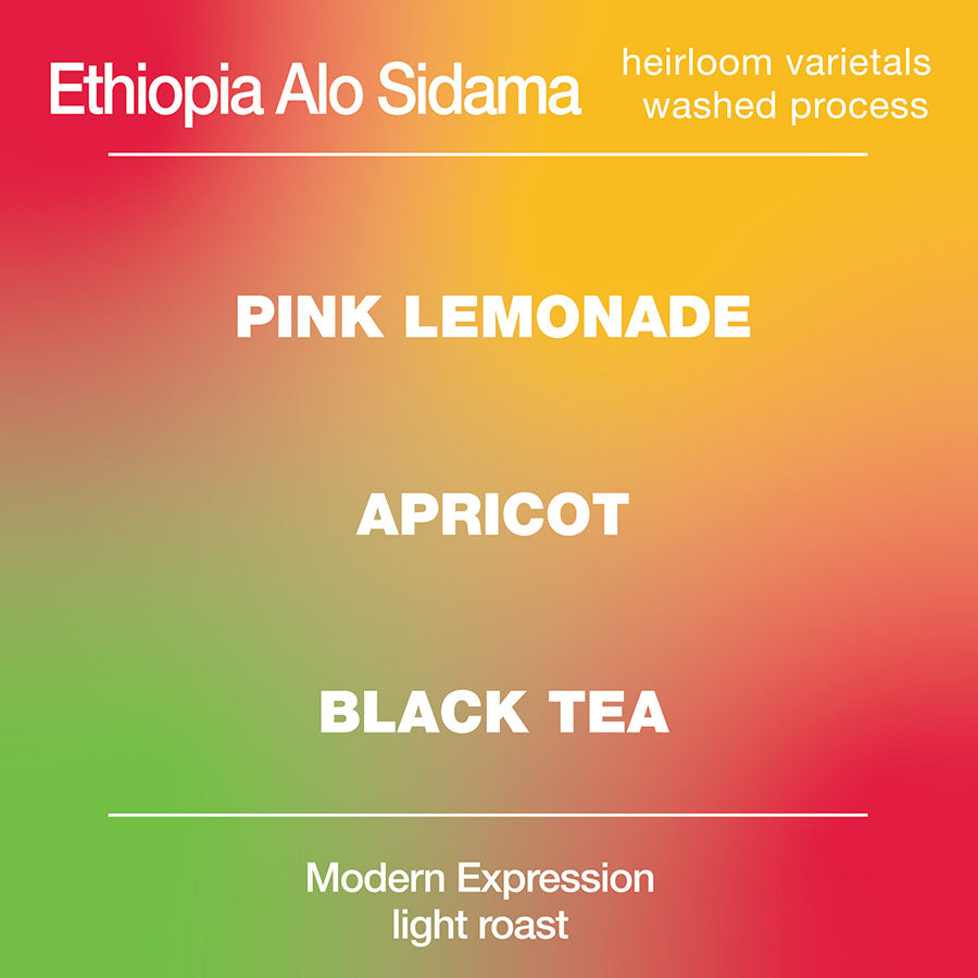 Alo Sidama Bensa Washed from Modcup Coffee