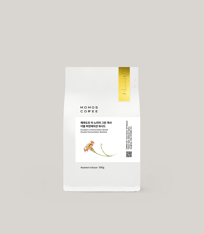 Ecuador La Noria Green Gesha DF Washed from Momos Coffee