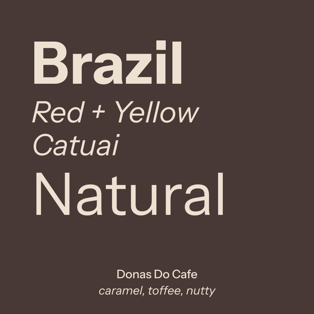 Brazil, Donas Do Cafe from Nostos Coffee