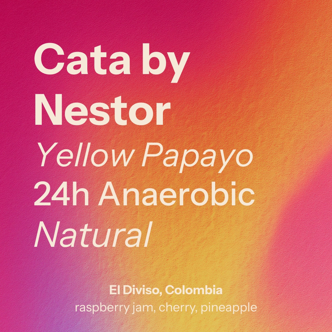 Colombia, Cata by Nestor from Nostos Coffee