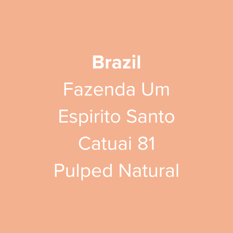 Brazil Fazenda Um Espirito Santo Catuai 81 Pulped Natural from Oma Coffee Roaster
