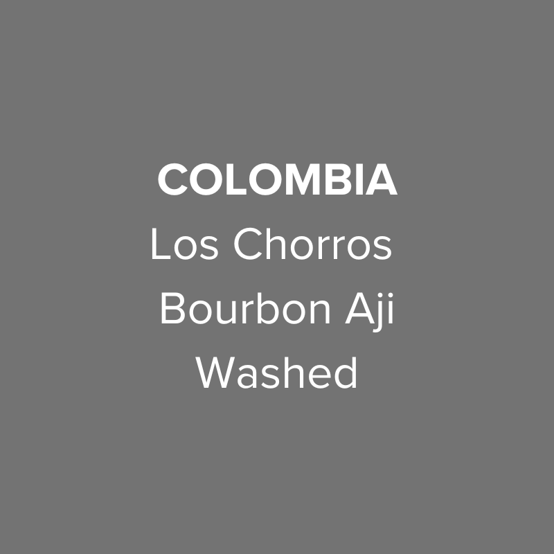Colombia Los Chorros Carmen Elisa Sanjuan Bourbon Aji Washed from Oma Coffee Roaster