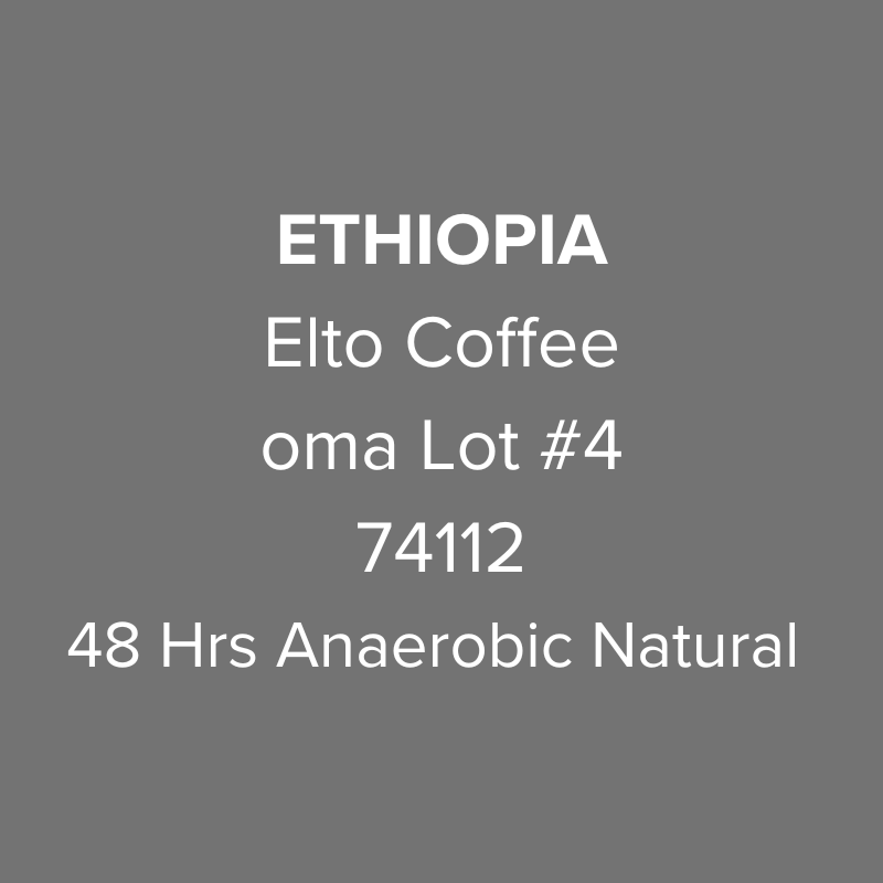 Ethiopia Elto Coffee Sidama Bare 74112 48hrs Anaerobic Natural oma Lot #4 from Oma Coffee Roaster
