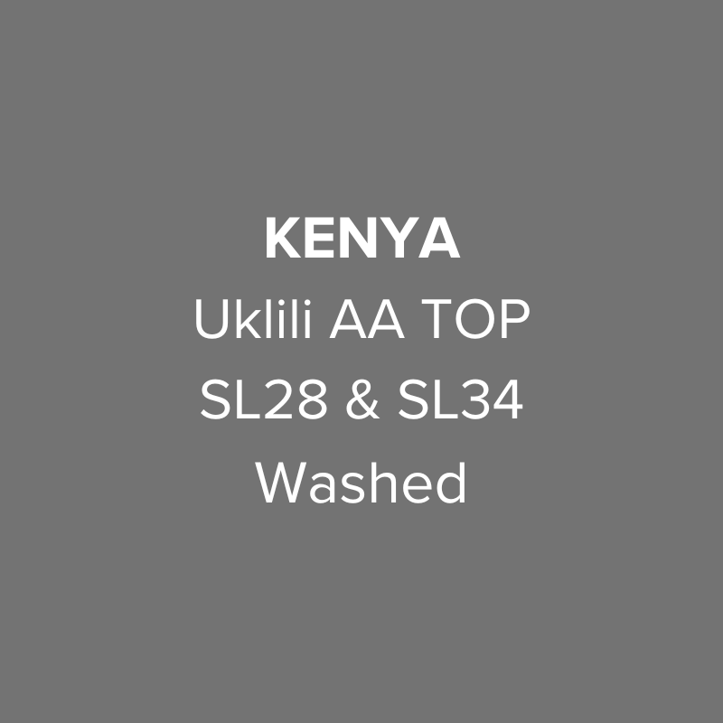 Kenya Nyeri Uklili AA TOP SL28 & SL34 Washed from Oma Coffee Roaster