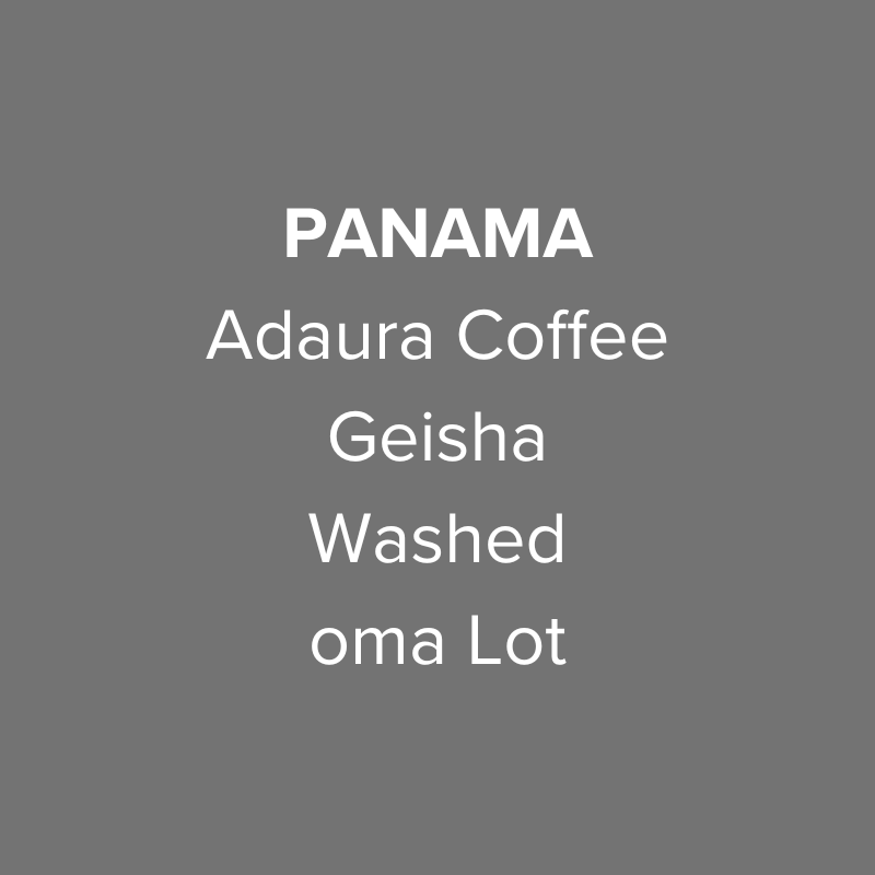 Panama Adaura Coffee Geisha Washed from Oma Coffee Roaster