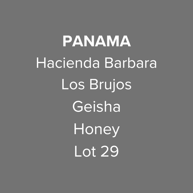 Panama Hacienda Barbara Geisha Honey Lot 29 from Oma Coffee Roaster